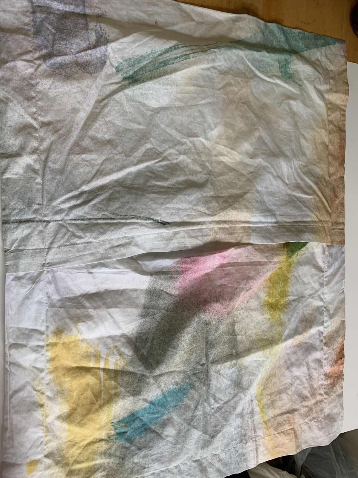 WEST ELM POTTERY BARN Kids Standard Shams MODERN LEXI Set of 2 Watercolor - Fresh Stock Dated February 2026