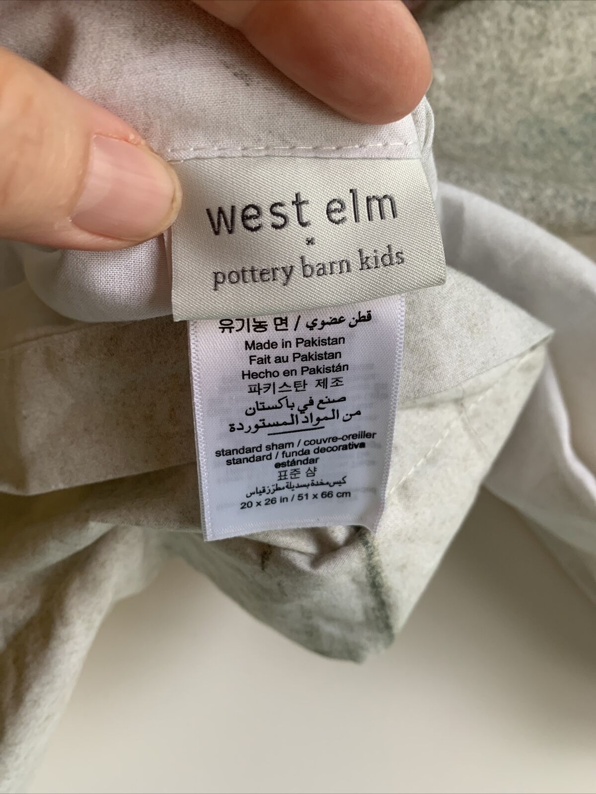 WEST ELM POTTERY BARN Kids Standard Shams MODERN LEXI Set of 2 Watercolor - Fresh Stock Dated February 2026