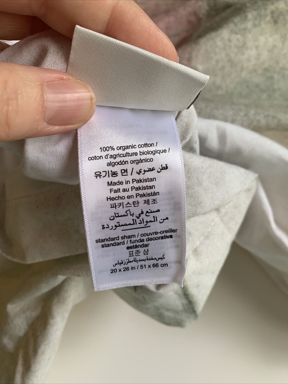 WEST ELM POTTERY BARN Kids Standard Shams MODERN LEXI Set of 2 Watercolor - Fresh Stock Dated February 2026