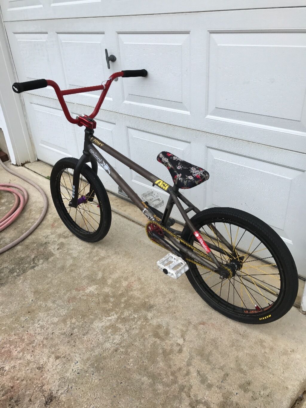 bmx bike - Fresh Stock Dated February 2026