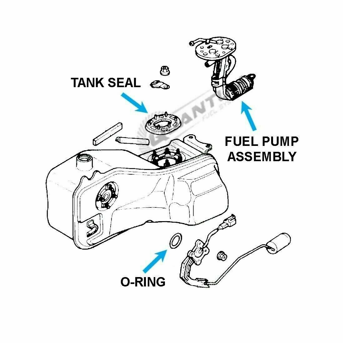 HONDA ST1100 GL1500 Goldwing Fuel Pump + Hose / Strainer 1988-2003 16700-MT3-010 - Fresh Stock Dated February 2026