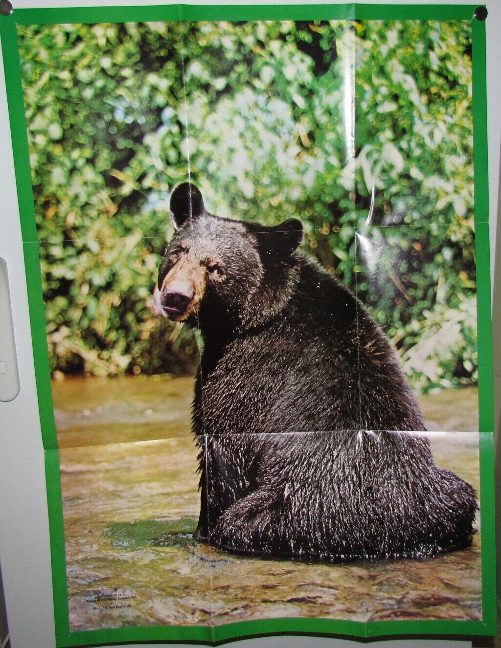 1970's American Wildlife Posters & Literature from Nat'l Wildlife Foundation - Fresh Stock Dated December 2025