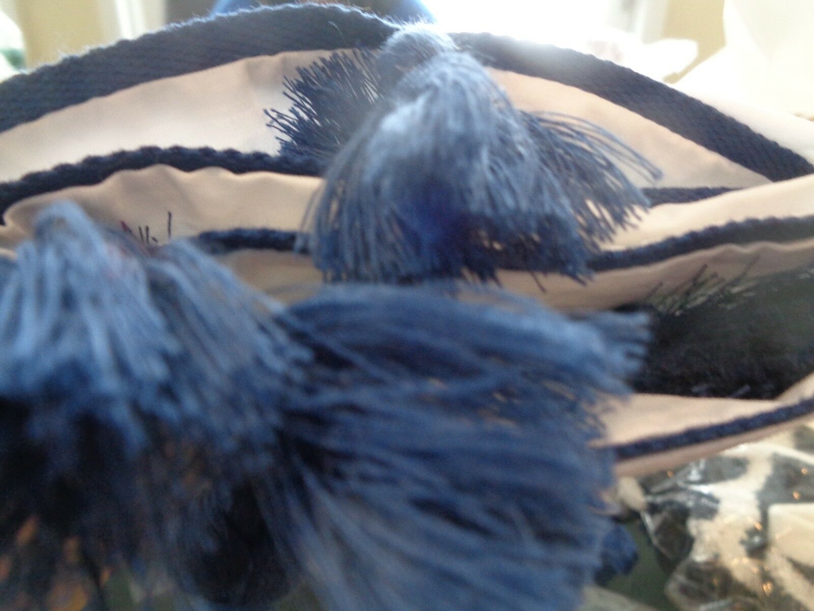 2 Pottery Barn Teen Tassel standard  shams monogrammed 