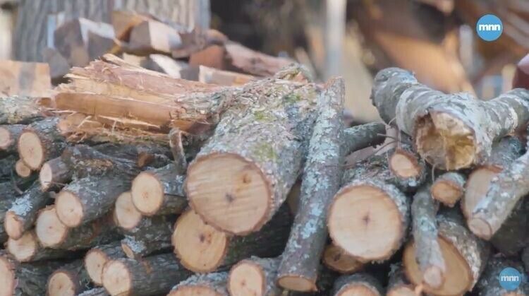 firewood - Fresh Stock Dated December 2025
