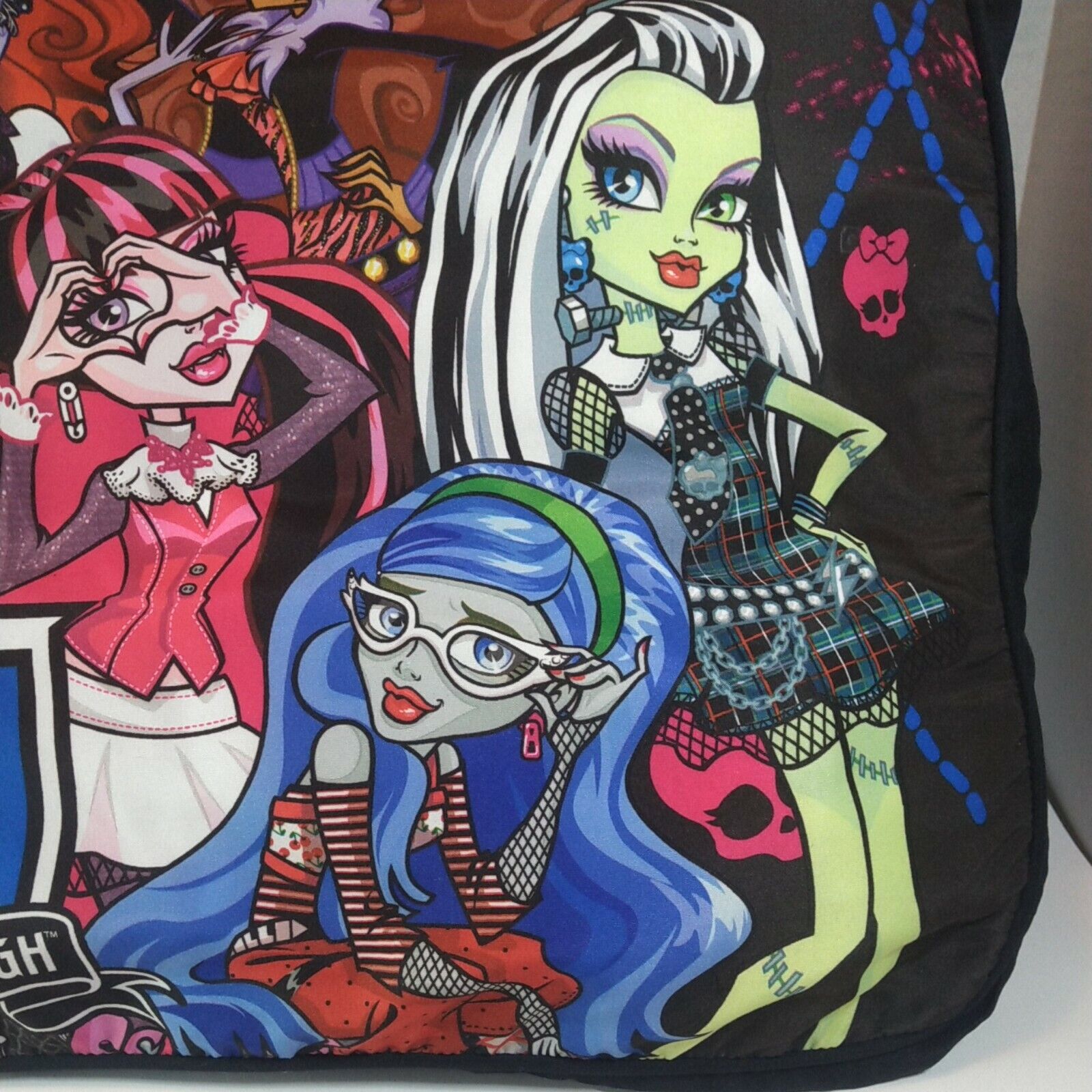Monster High Decorative Square Pillow Soft Plush Throw 15