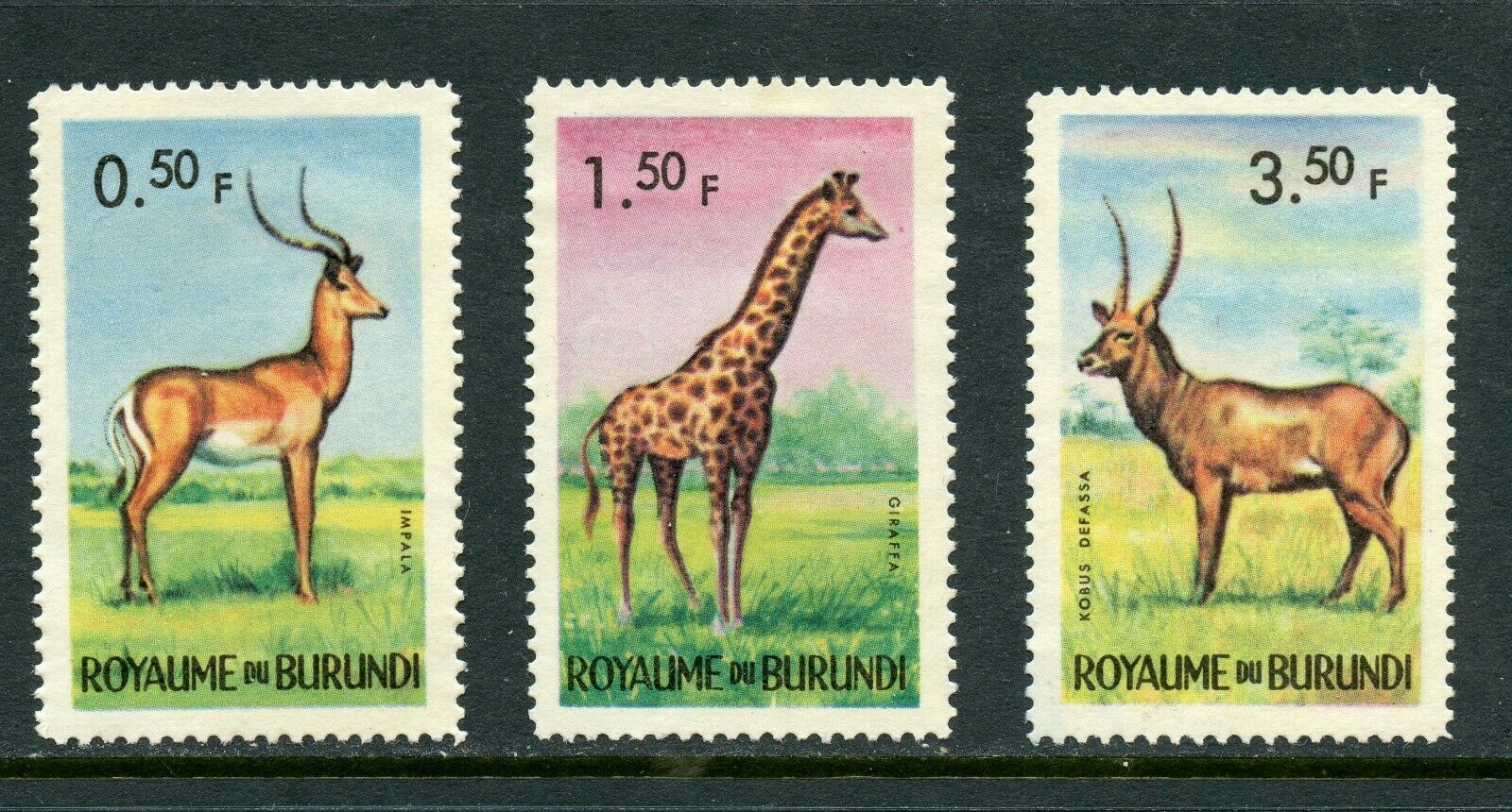 Burundi stamp collection, MH & MNH, butterfly, African animals, the Pope etc. - Fresh Stock Dated December 2025