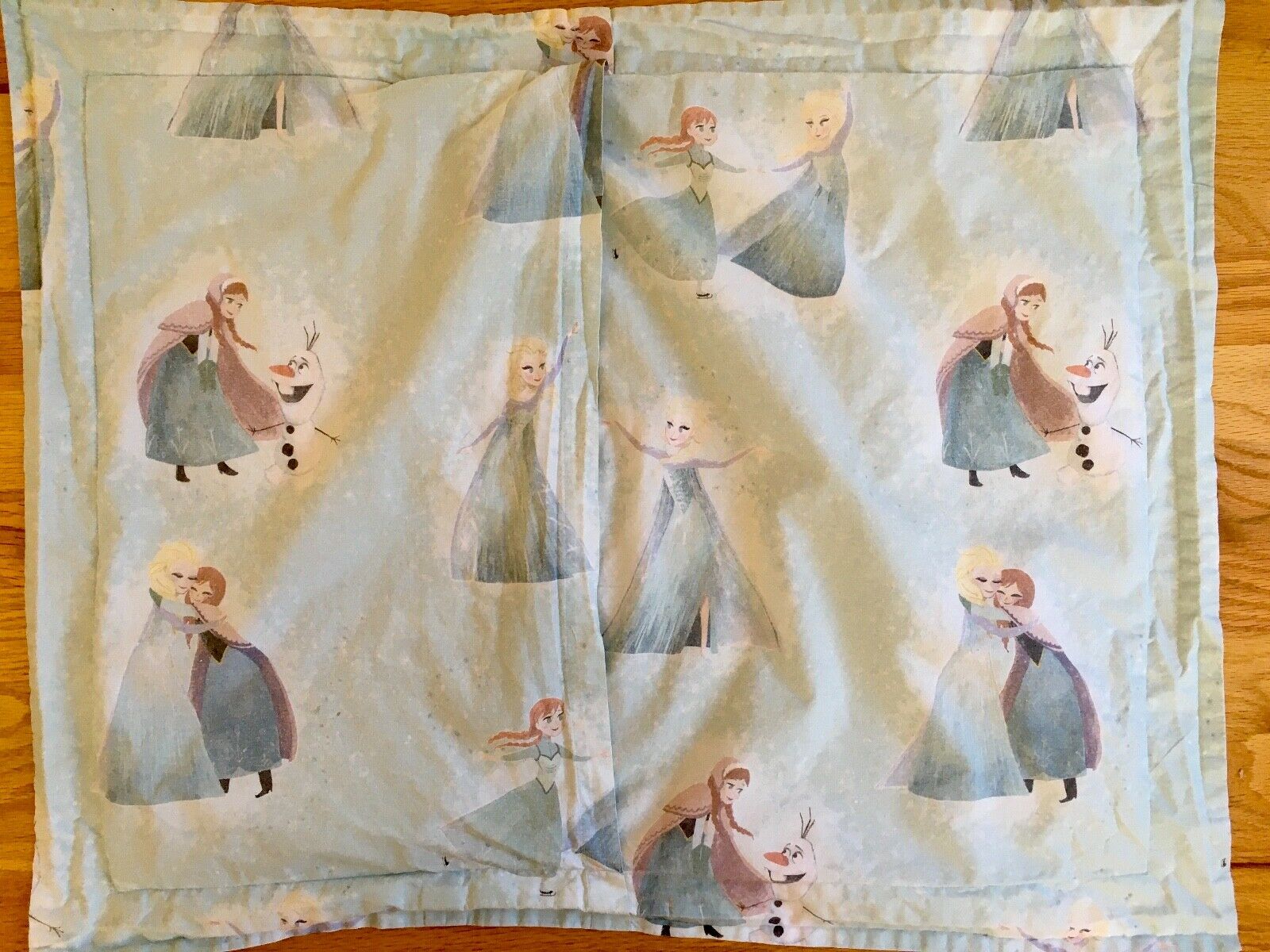 Pottery Barn Kids Frozen Disney Standard Sham - Fresh Stock Dated December 2025