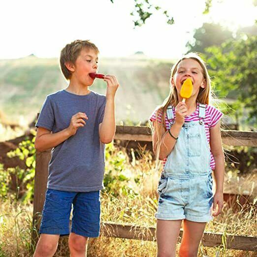 2 Pack Popsicle Molds, Silicone Popsicle Molds, Easy to Use,50 Popsicle Sticks - Fresh Stock Dated February 2026