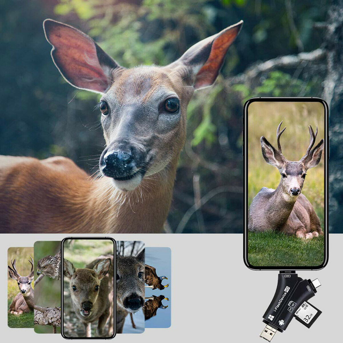 4-IN-1 SD TF Card Trail Camera Viewer Reader for iPhone iPad Mac & Android New - Fresh Stock Dated February 2026