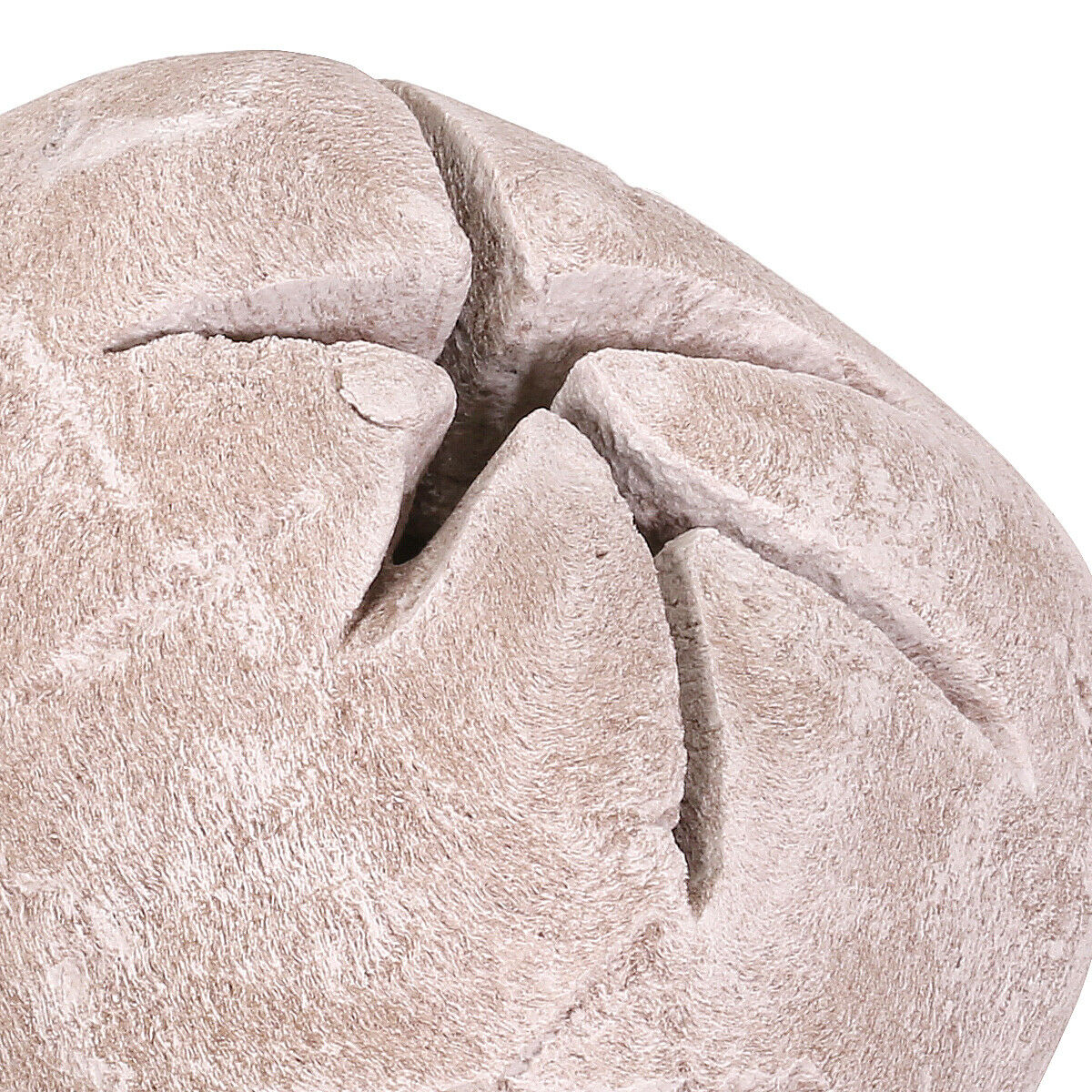 Flame Ceramic Propane Gel Ethanol Gas Fireplace Fire Pit Logs Skull Light Beige - Fresh Stock Dated December 2025