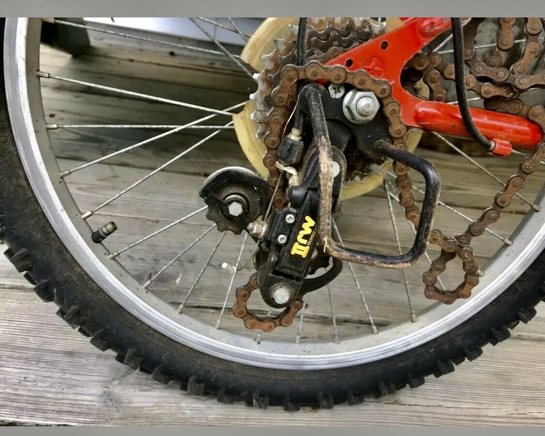 SCHWINN CHILD MOUNTAIN BIKE - Fresh Stock Dated February 2026