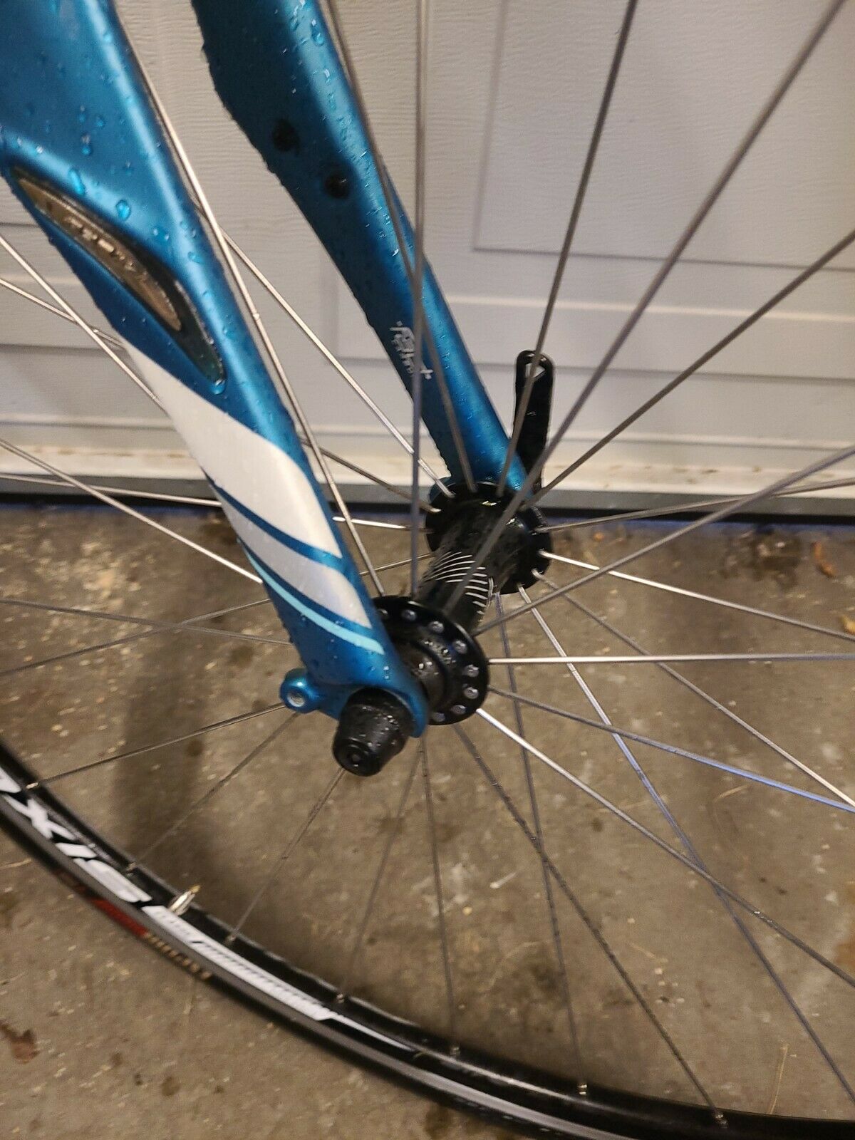 SPECIALIZED DOLCE SPORT COMPACT  (51cm) VERY LIGHTWEIGHT - Fresh Stock Dated February 2026