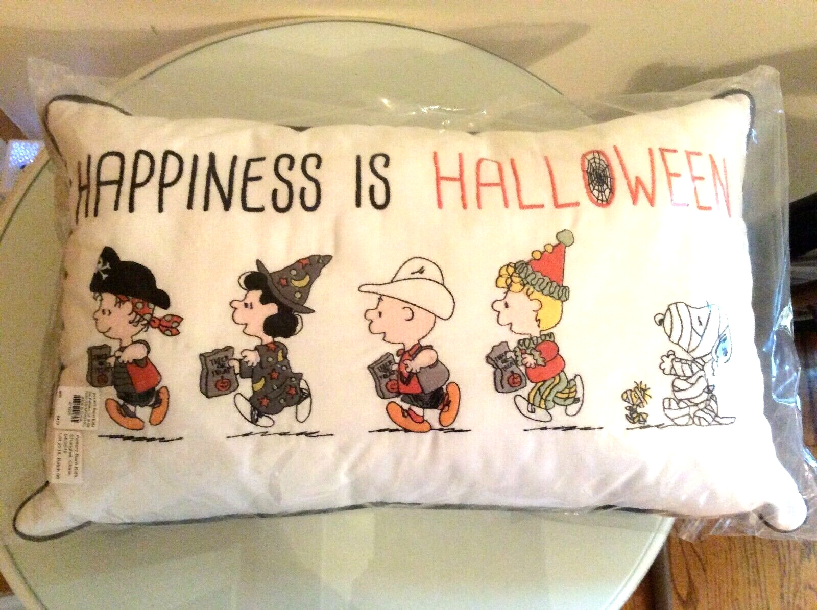Snoopy Pottery Barn Peanuts holiday Pillow Disney School halloween 12x20 Gift i - Fresh Stock Dated February 2026