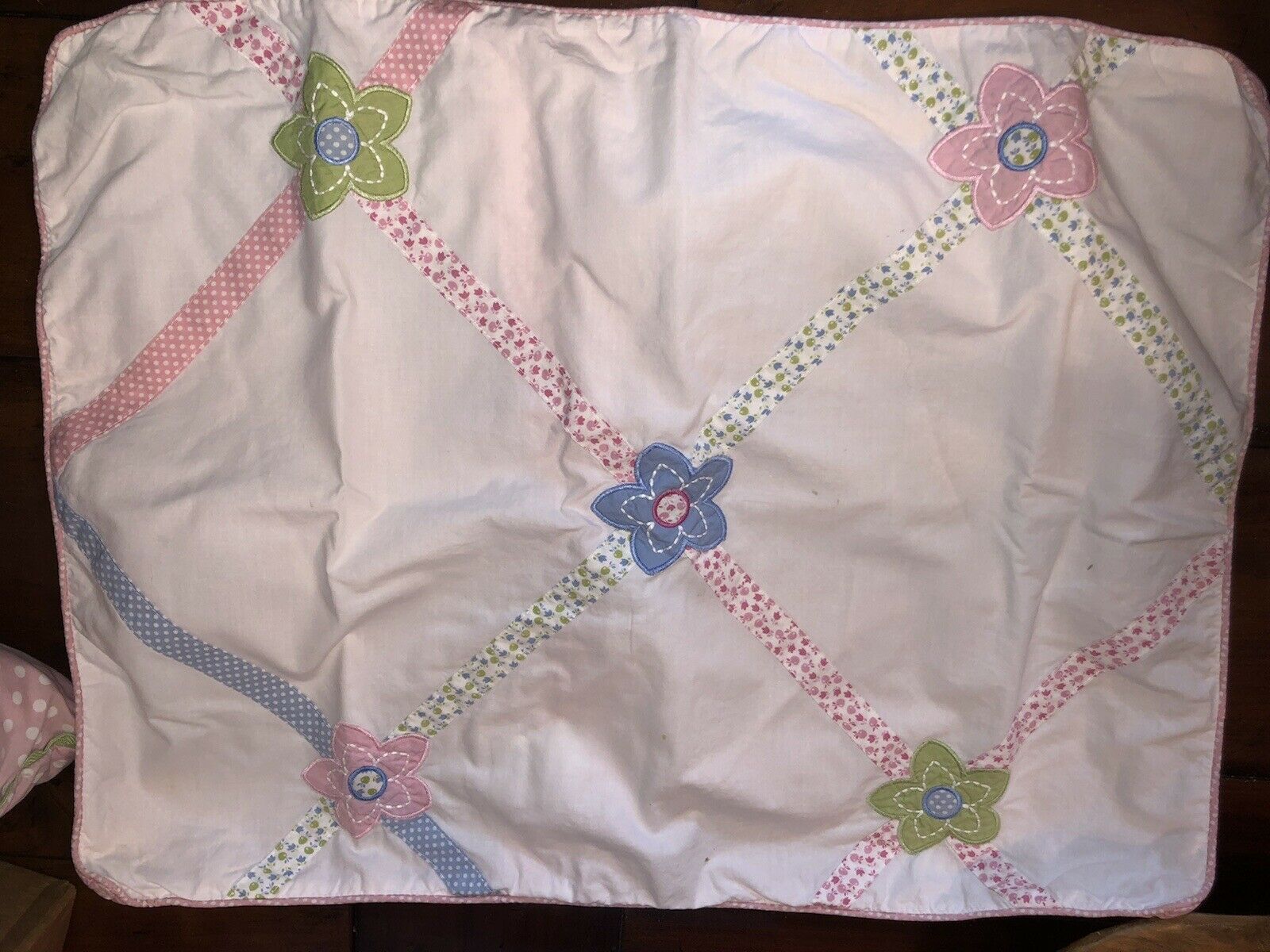 Pottery Barn Kids Decorative Standard Pillow Shams, Set of 2 - Fresh Stock Dated December 2025