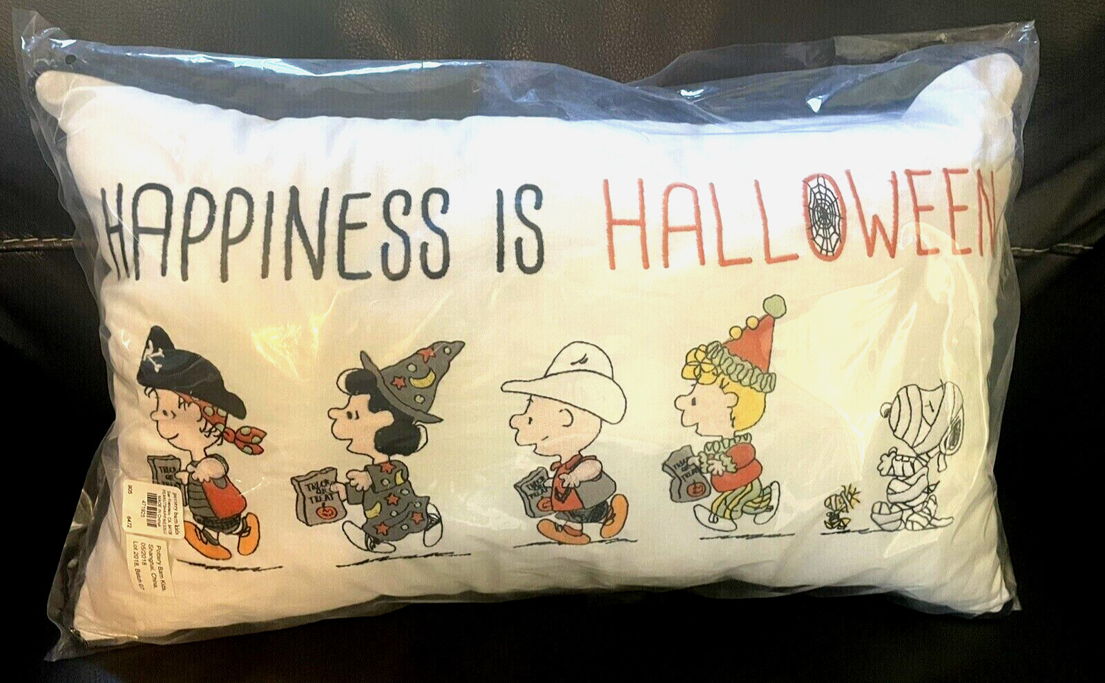 Snoopy Pottery Barn Peanuts holiday Pillow Disney School halloween 12x20 Gift i - Fresh Stock Dated February 2026