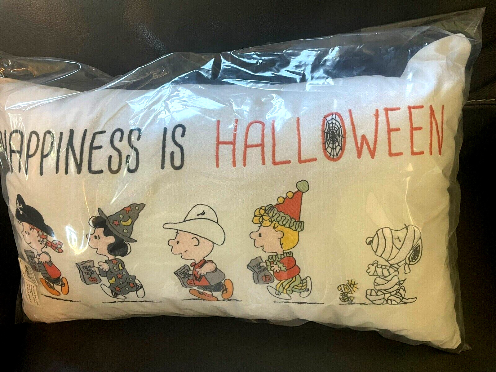 Snoopy Pottery Barn Peanuts holiday Pillow Disney School halloween 12x20 Gift i - Fresh Stock Dated February 2026