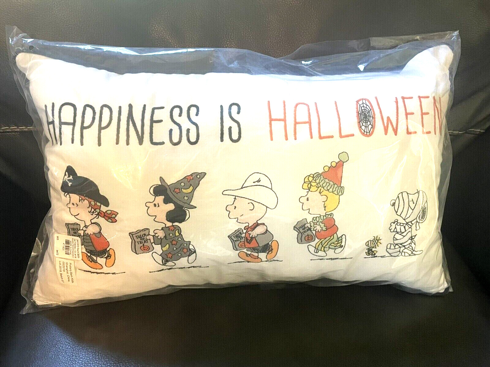 Snoopy Pottery Barn Peanuts holiday Pillow Disney School halloween 12x20 Gift i - Fresh Stock Dated February 2026