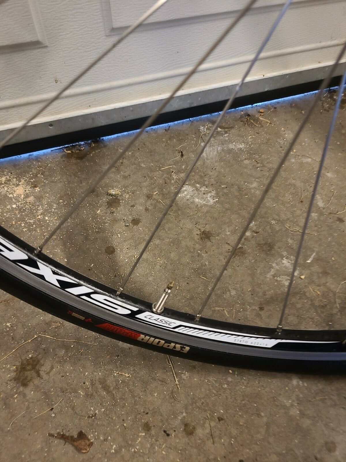 SPECIALIZED DOLCE SPORT COMPACT  (51cm) VERY LIGHTWEIGHT - Fresh Stock Dated February 2026