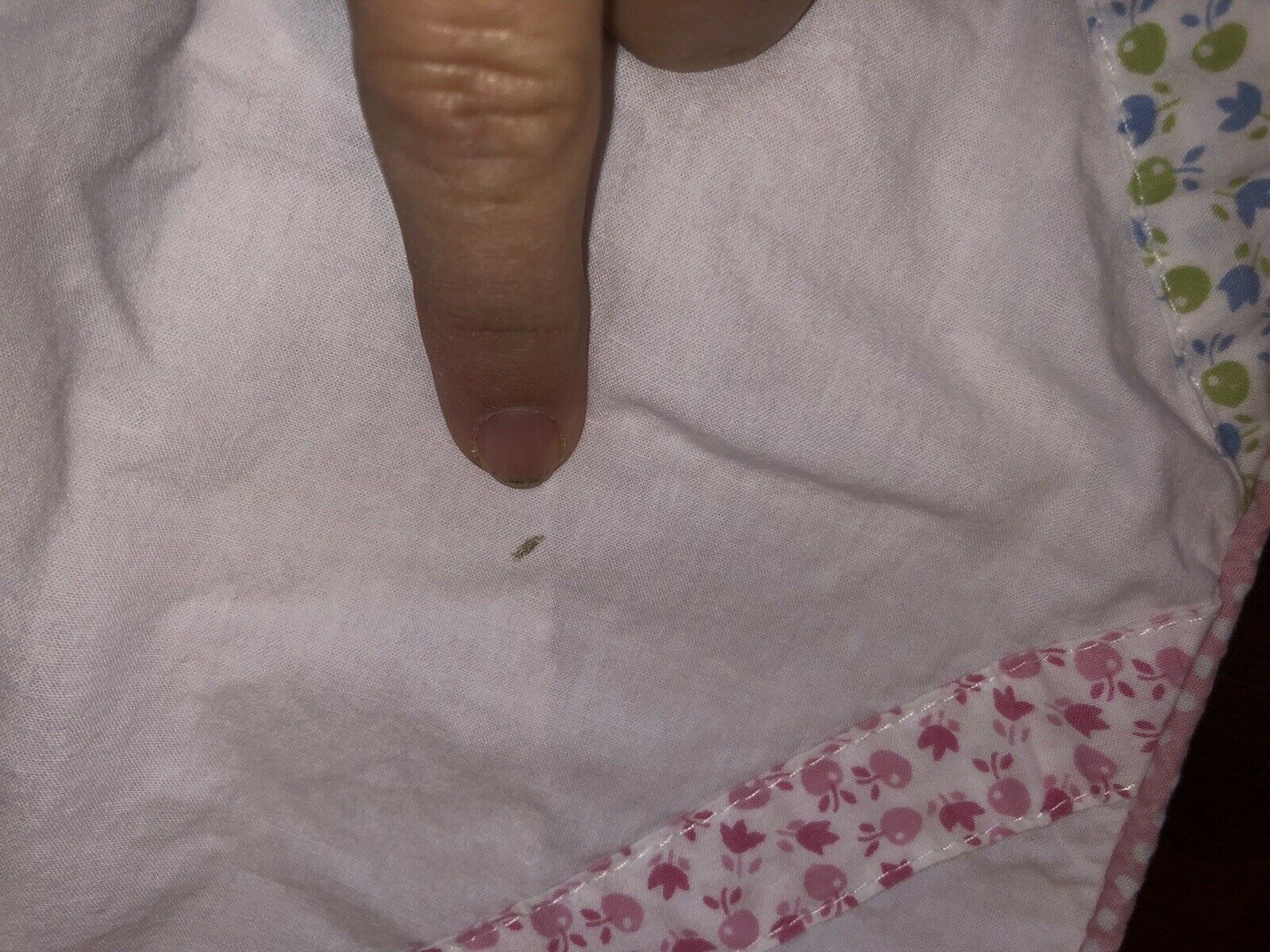 Pottery Barn Kids Decorative Standard Pillow Shams, Set of 2 - Fresh Stock Dated December 2025