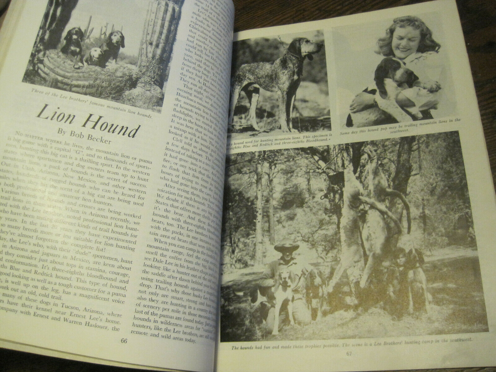 VTG 1947 Bob Becker's Dog Digest Illustrated Guide to All Popular Dog Breeds-PBK - Fresh Stock Dated December 2025