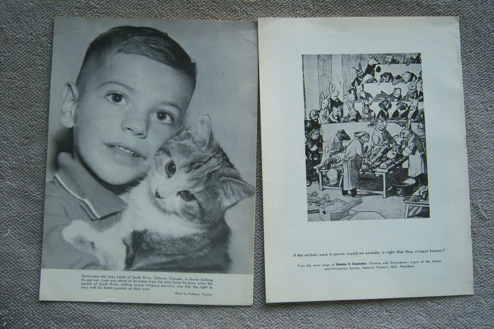 VOICE OF THE VOICELESS set of 2 October 1963 & February 1964 Calore Publications - Fresh Stock Dated December 2025