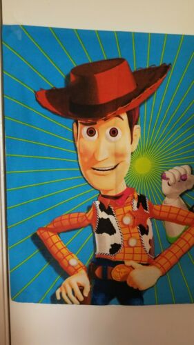 Disney Pixar Toy Story Pillowcase Vtg 90's Woody & Buzz Standard Size 20