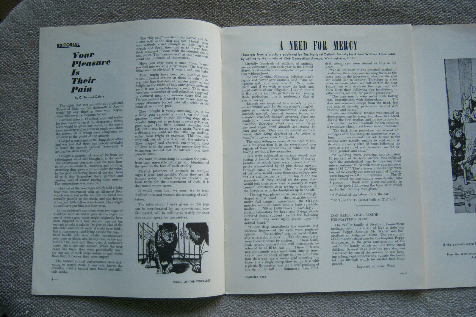 VOICE OF THE VOICELESS set of 2 October 1963 & February 1964 Calore Publications - Fresh Stock Dated December 2025