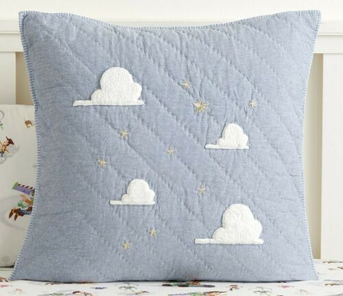 Pottery Barn Kids Disney Pixar Toy Story Quilted European Euro Square Sham NEW - Fresh Stock Dated December 2025