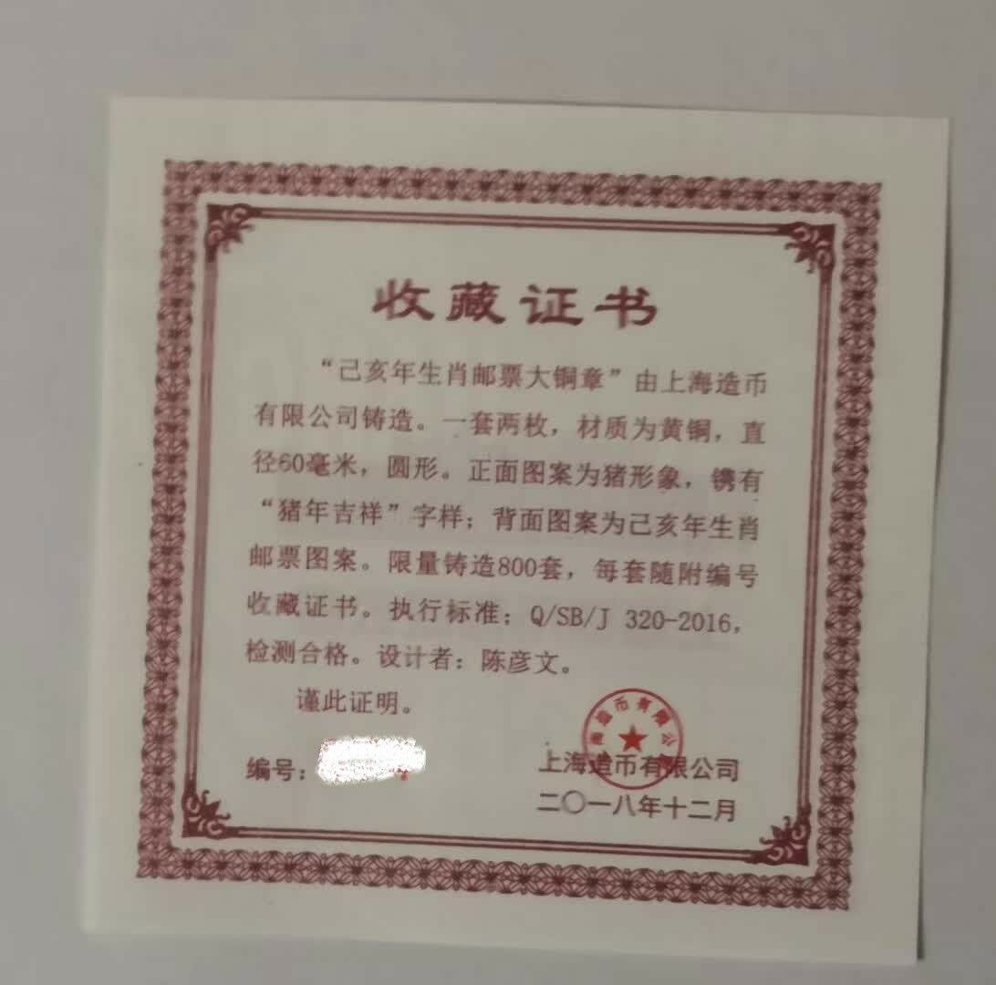 A Pair of China 2019 Chinese Lunar Year of the Pig Colored Brass Medals - Fresh Stock Dated February 2026