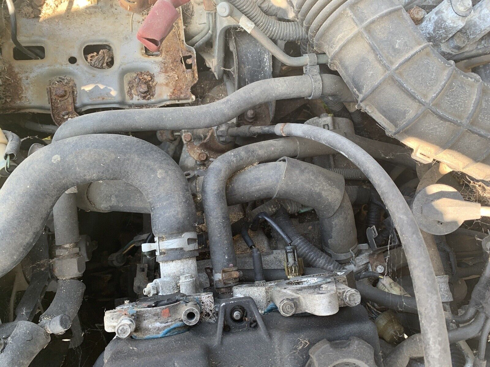 1990-1991 Acura Integra GS 5 Speed Manual Transmission - Fresh Stock Dated February 2026