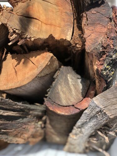 seasoned firewood - Fresh Stock Dated December 2025