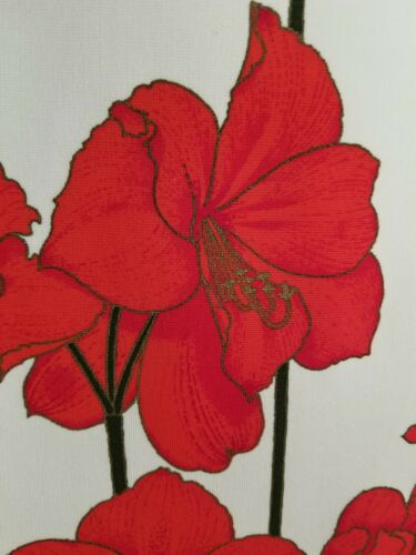 Vintage 70s ALFRED SHAHEEN Signature Red Floral Print Maxi Skirt Size 6 VTG - Fresh Stock Dated December 2025