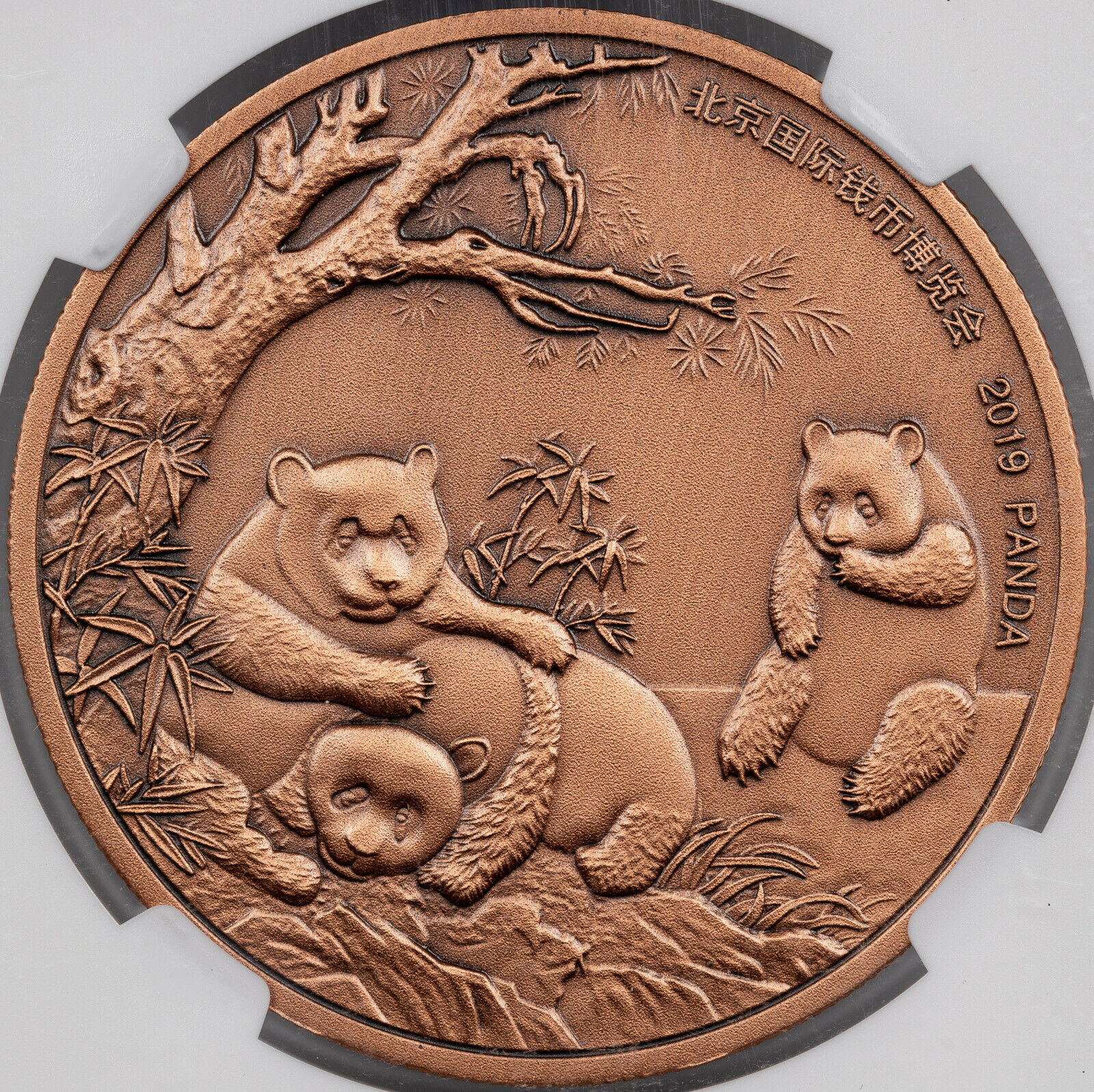 2019 CHINA 40mm COPPER PANDA-BICE NGC MS 70 ANTIQUED FINEST KNOWN WORLWIDE - Fresh Stock Dated February 2026