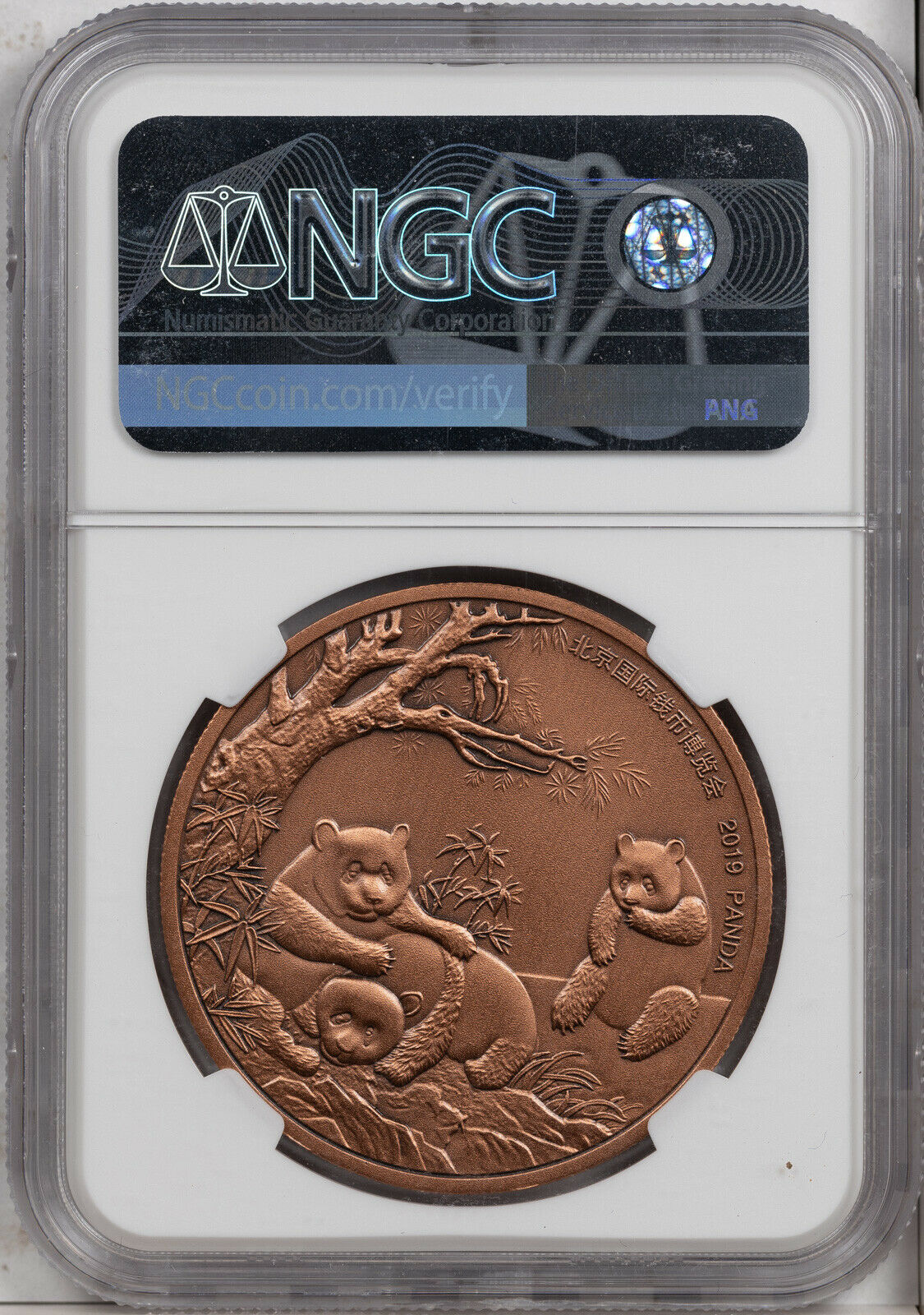 2019 CHINA 40mm COPPER PANDA-BICE NGC MS 70 ANTIQUED FINEST KNOWN WORLWIDE - Fresh Stock Dated February 2026