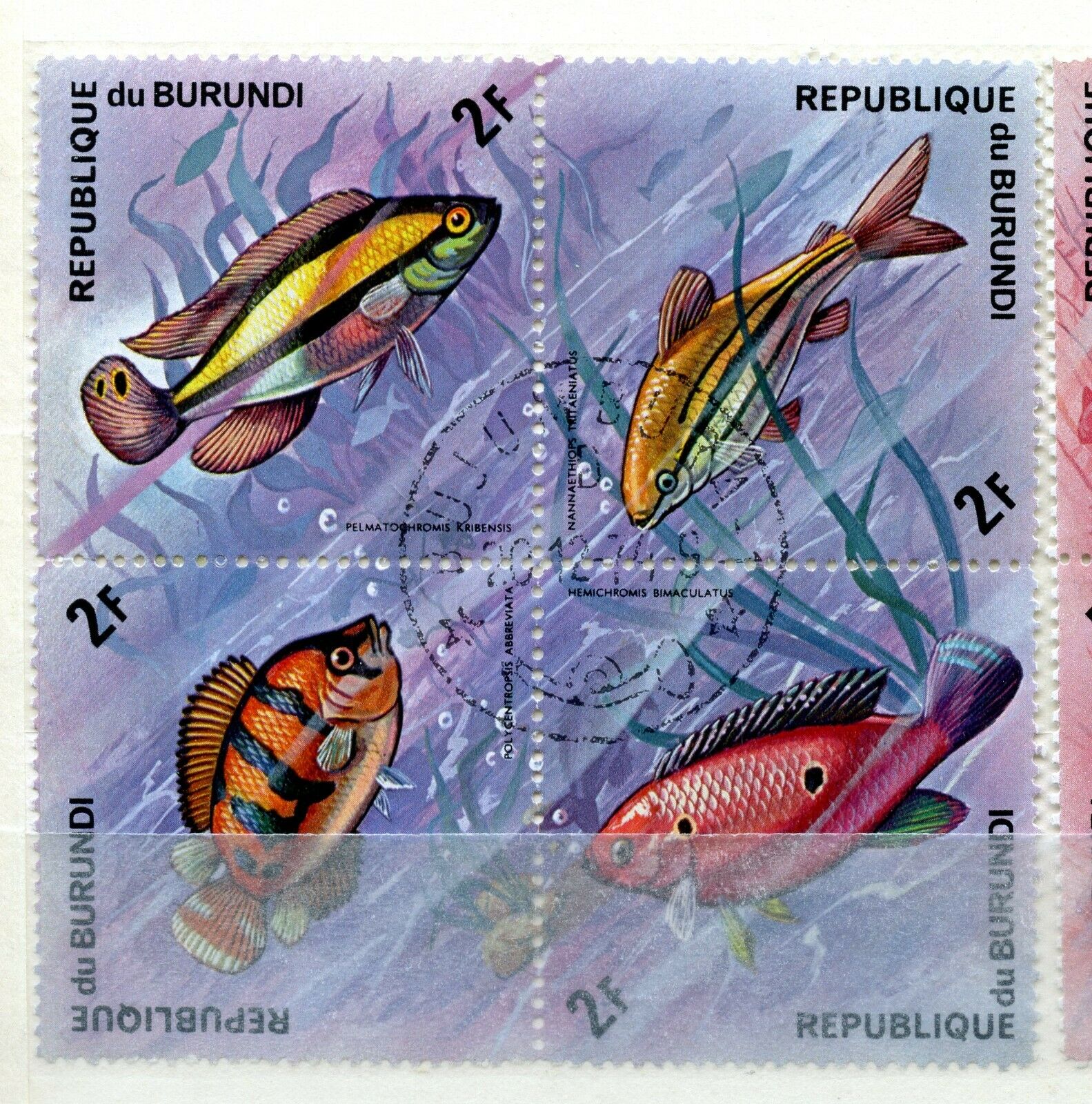 5 Burundi Mint Hinged Used Hinged - Fresh Stock Dated December 2025