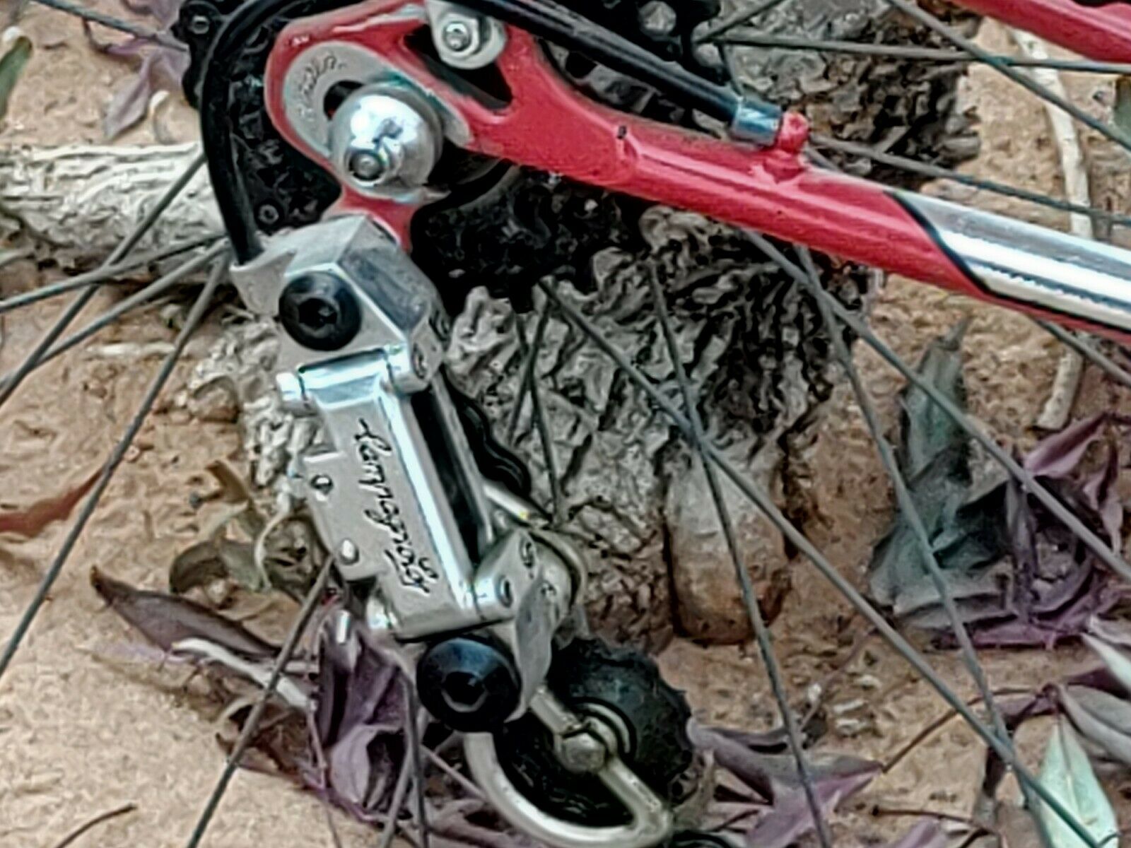 ATALA SPORT ROAD RACER BIKE - Fresh Stock Dated February 2026