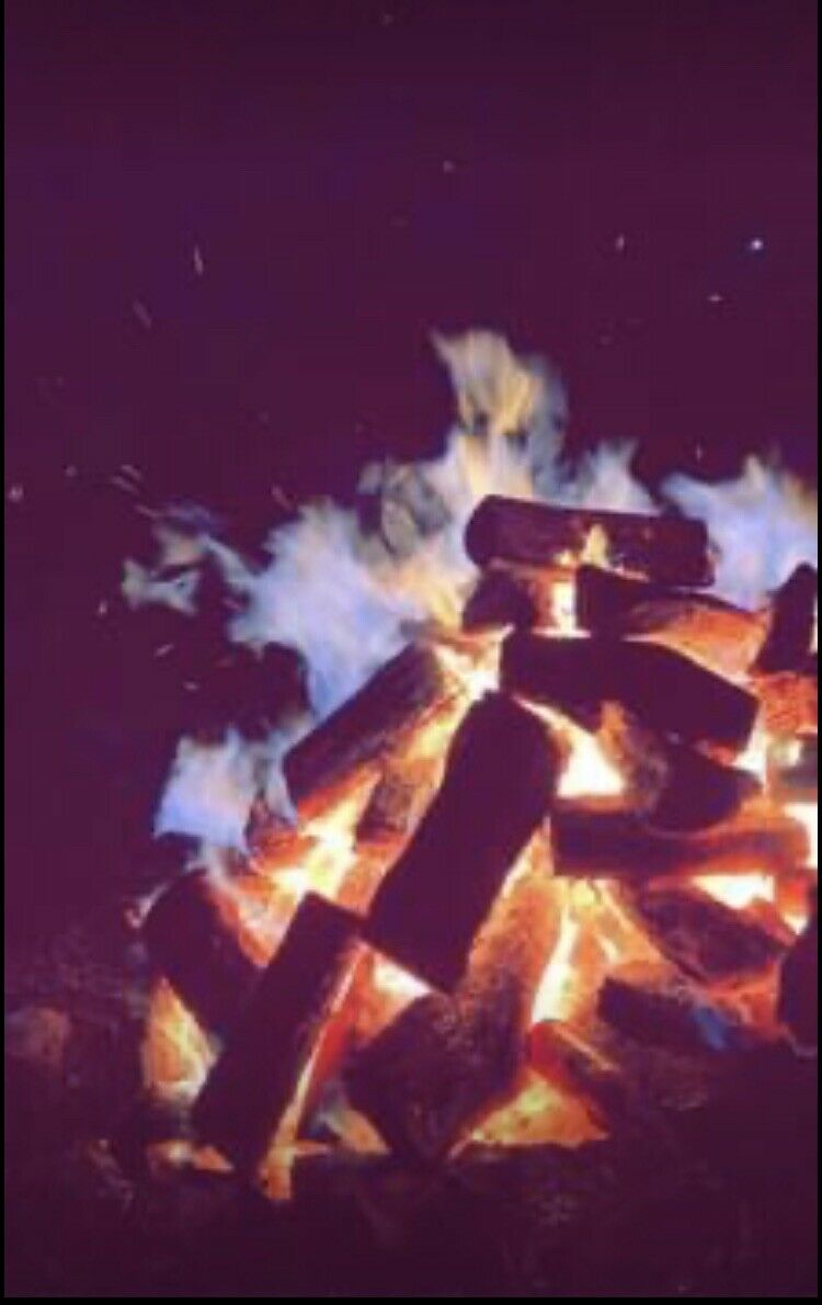 Hedge Firewood - Fresh Stock Dated December 2025