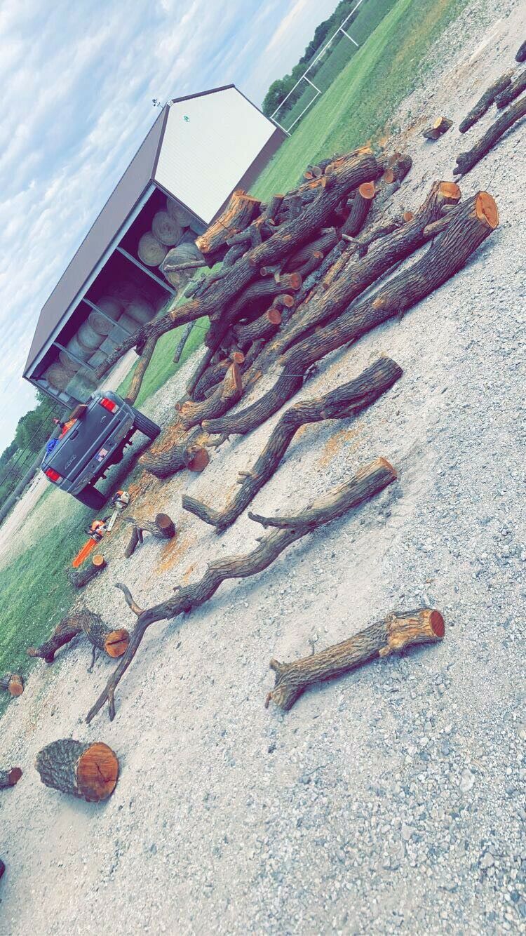 Hedge Firewood - Fresh Stock Dated December 2025