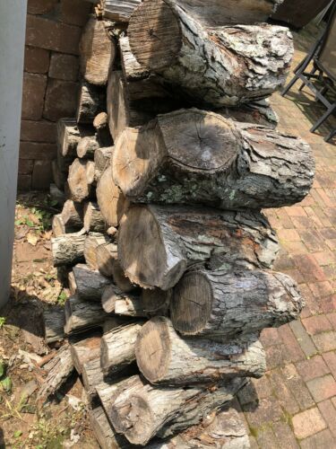 firewood white oak - Fresh Stock Dated December 2025