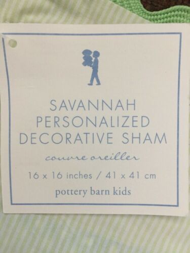 PBK Savannah Decorative Pillow Sham 16” Blank White Green Pottery Barn Kids - Fresh Stock Dated December 2025
