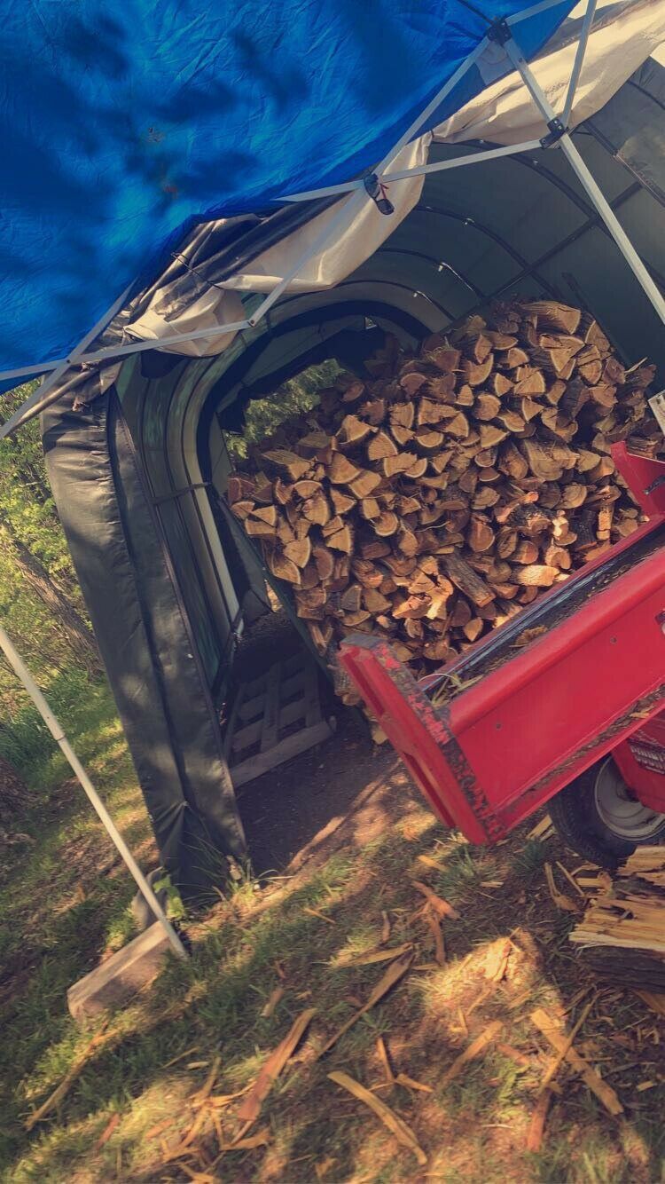 Hedge Firewood - Fresh Stock Dated December 2025