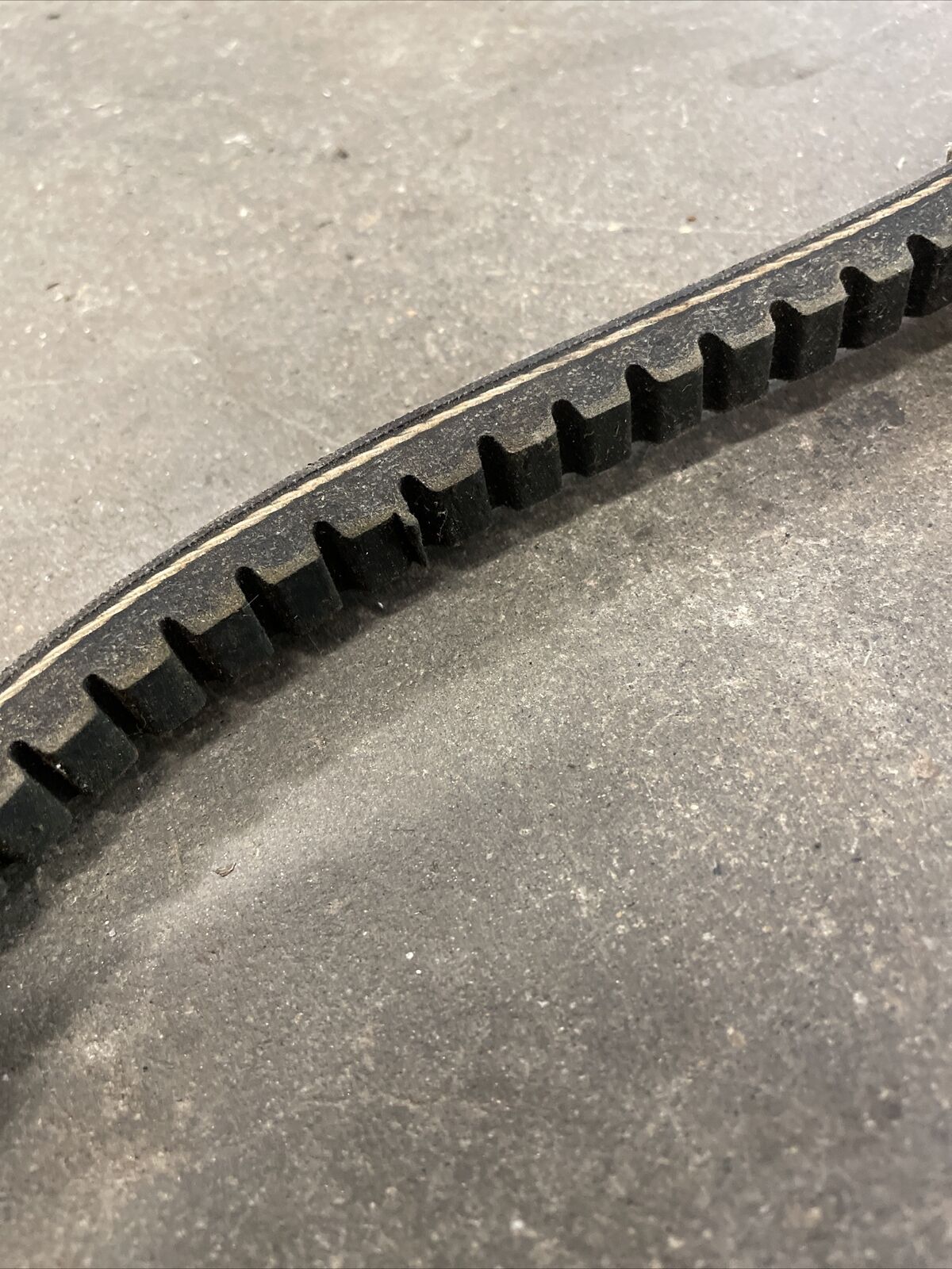 Dayco #BX50 PREMIUM INDUSTRIAL V-BELT 16XC1345 - Fresh Stock Dated February 2026