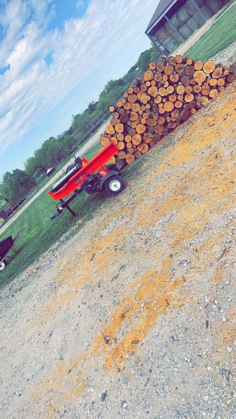 Hedge Firewood - Fresh Stock Dated December 2025