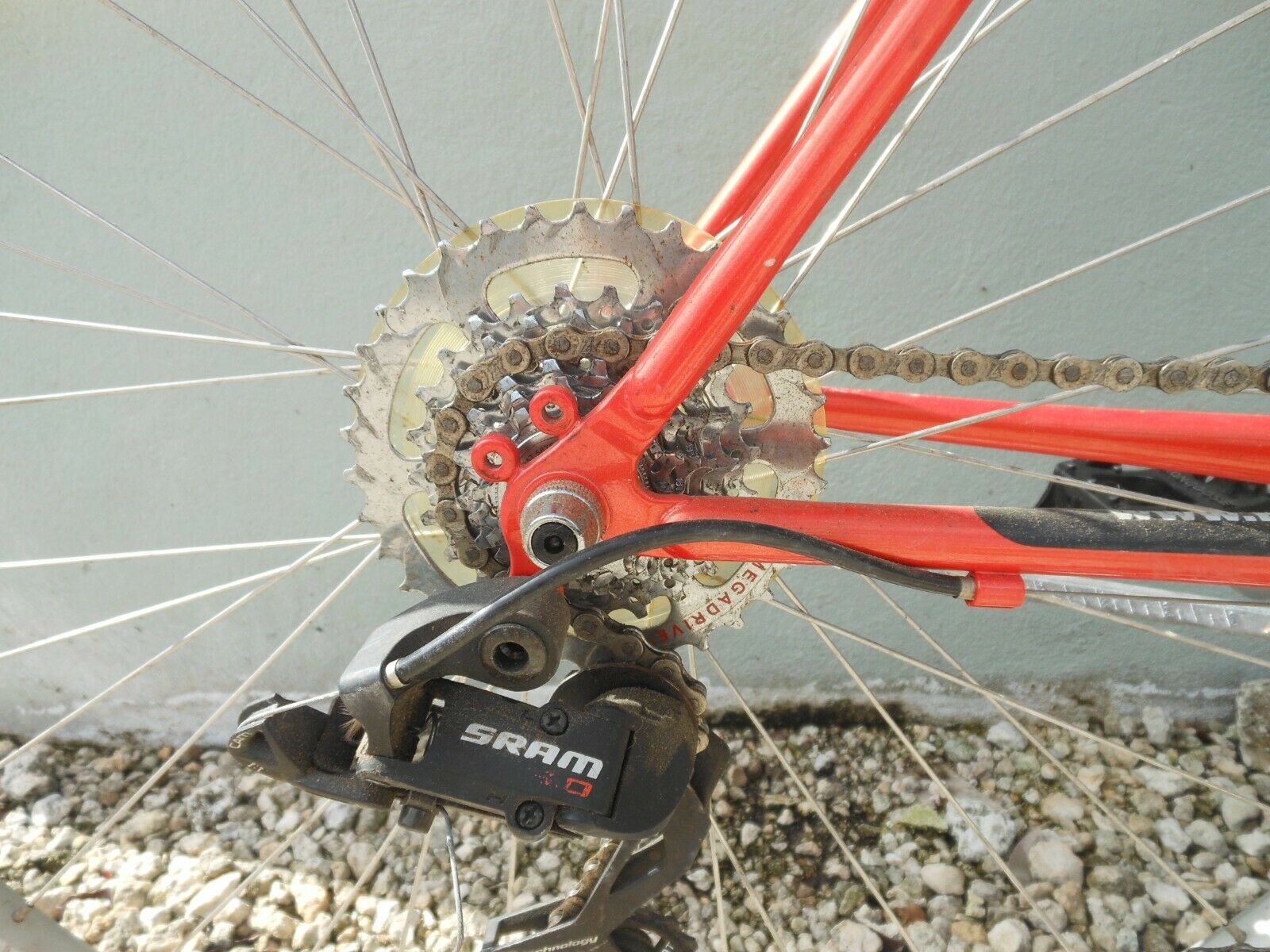 Bianchi Avenue Bike - Fresh Stock Dated February 2026