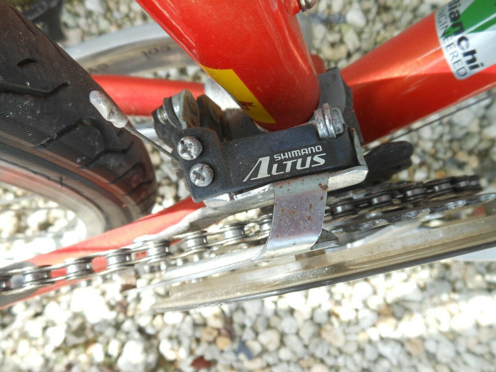 Bianchi Avenue Bike - Fresh Stock Dated February 2026