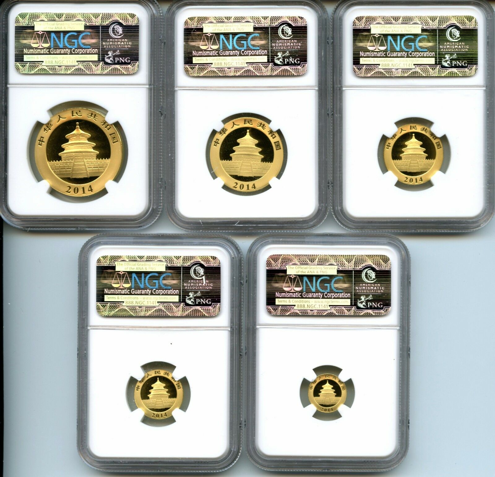CHINA  PANDA  GOLD  2014  NGC  MS 70 SET   5 PIECES    RED HOT - Fresh Stock Dated February 2026