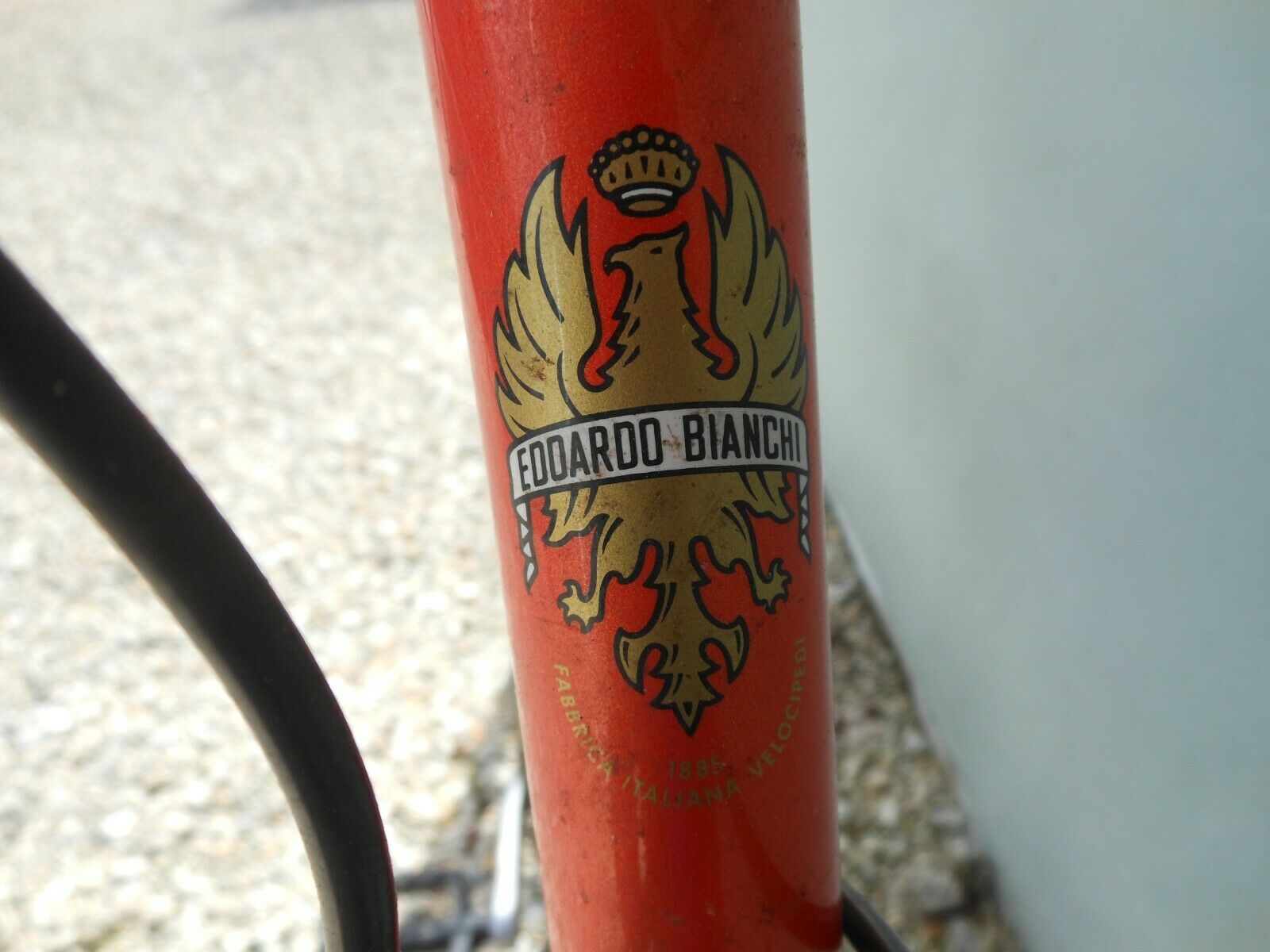 Bianchi Avenue Bike - Fresh Stock Dated February 2026