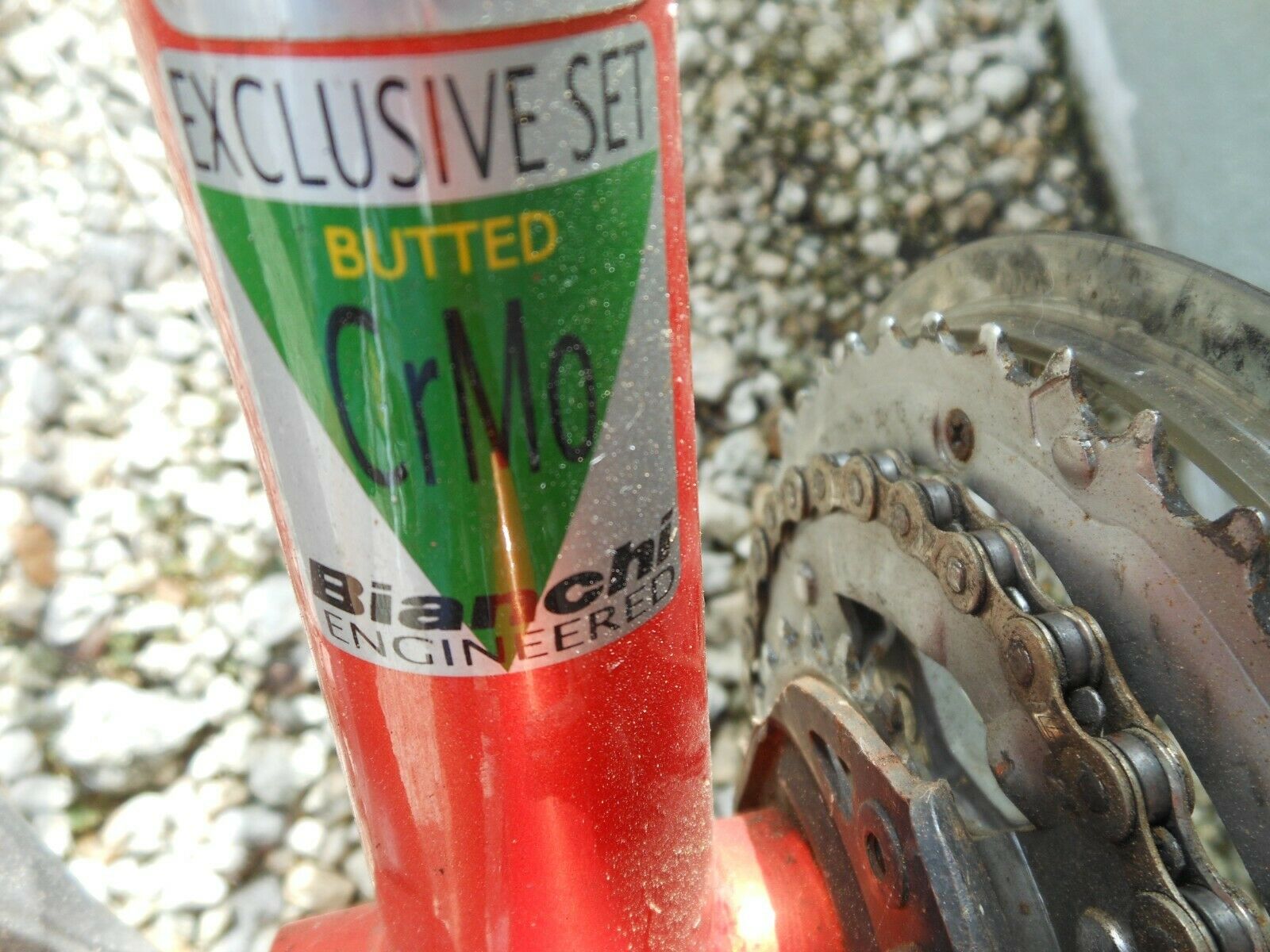 Bianchi Avenue Bike - Fresh Stock Dated February 2026