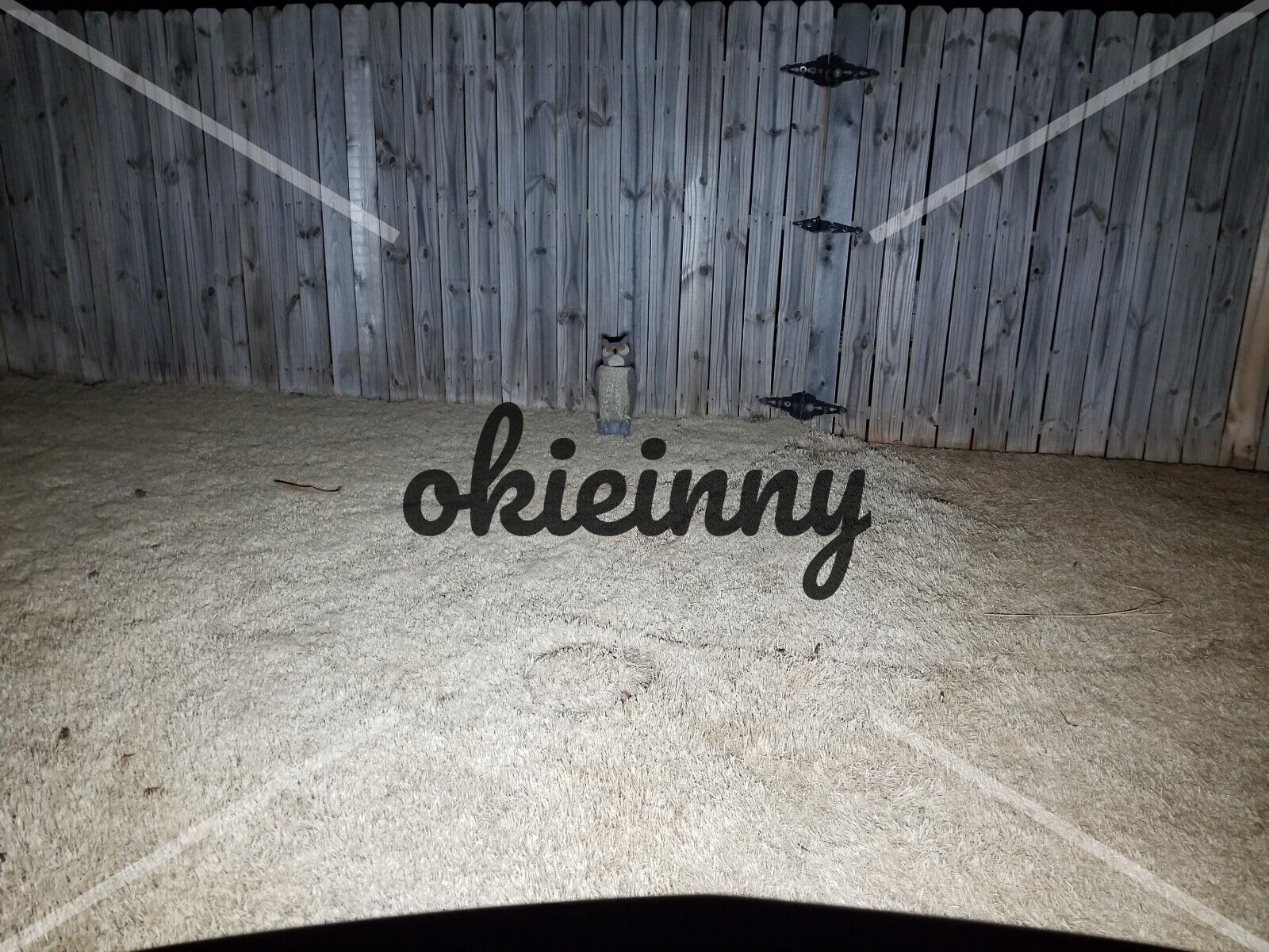 2 LED Turn Signal Bulbs for Honda 2004-2020 VT750C Shadow Aero bulb: US Seller - Fresh Stock Dated February 2026