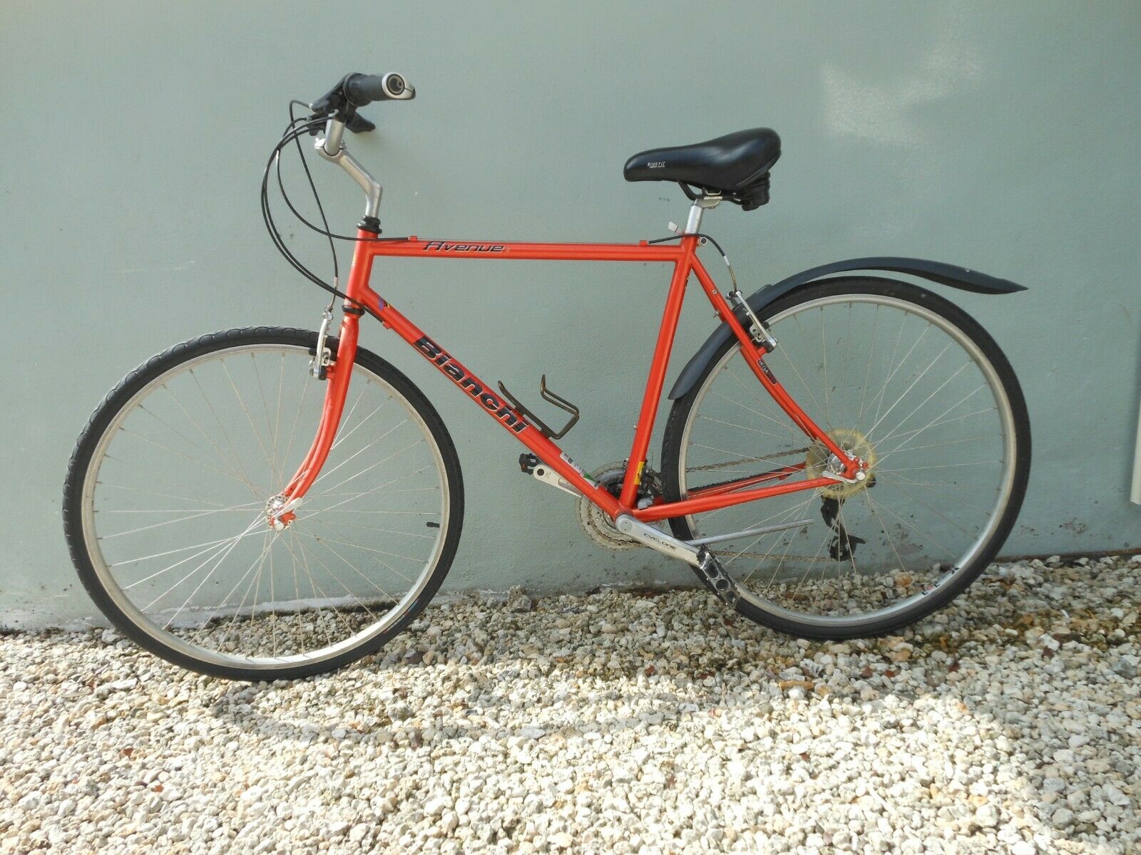 Bianchi Avenue Bike - Fresh Stock Dated February 2026